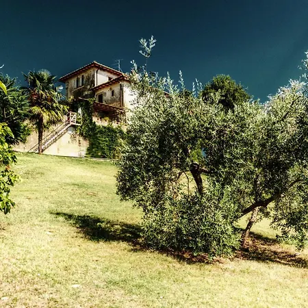 Paola Pool And Gym In Chianti - Happy *
